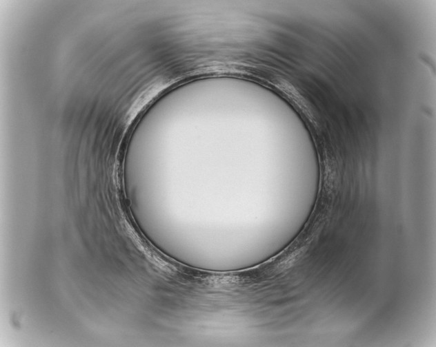 X0000101660893200807311432