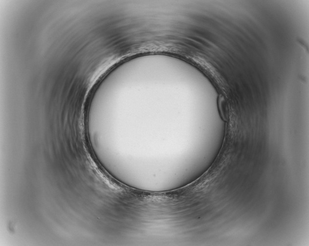 X0000101660894200807311432