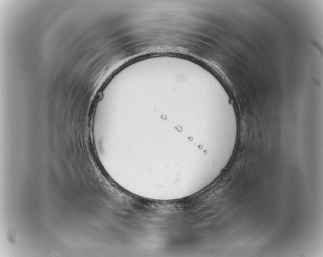 X0000101660895200807311432