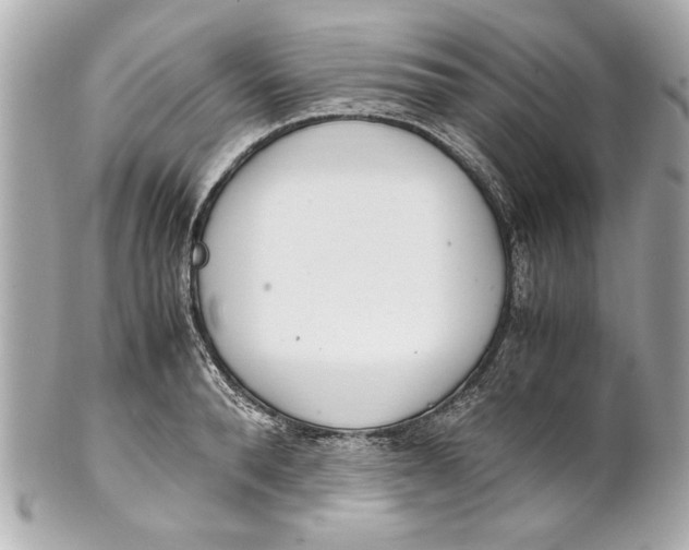 X0000101660896200807311432