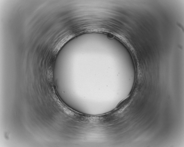 X0000101660897200807311432