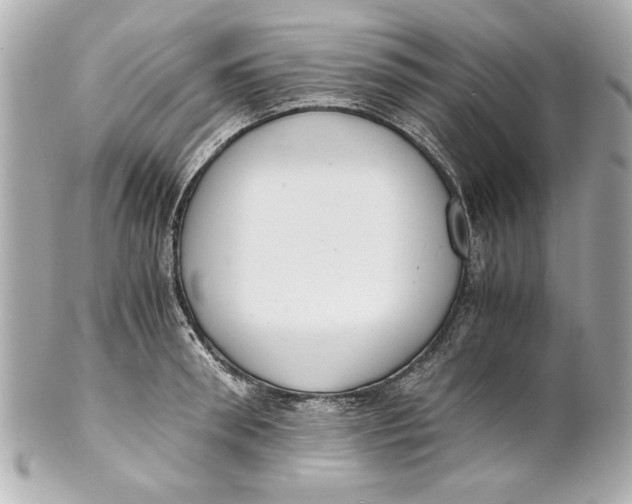 X0000101660898200807311432