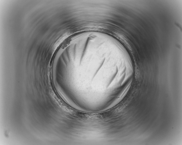 X0000101660899200807311432