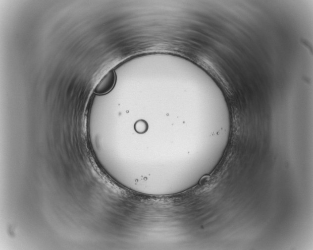 X0000101660900200807311432