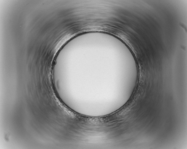 X0000101660901200807311432