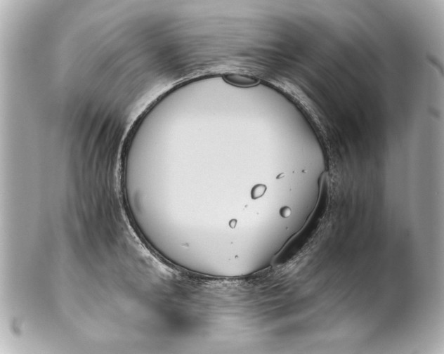 X0000101660902200807311432