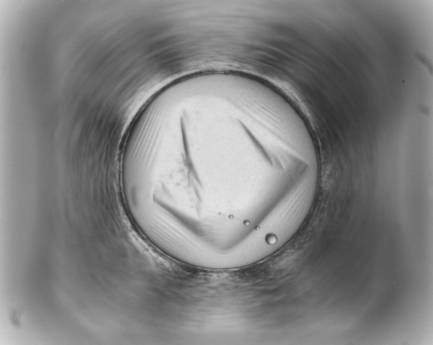 X0000101660903200807311432