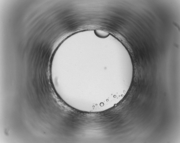 X0000101660904200807311432