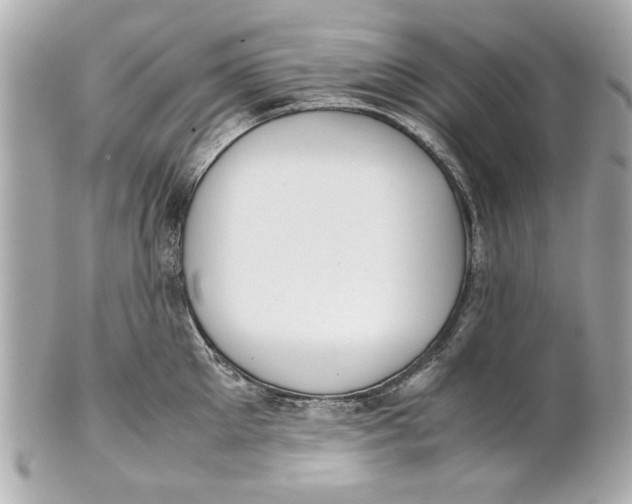 X0000101660905200807311432