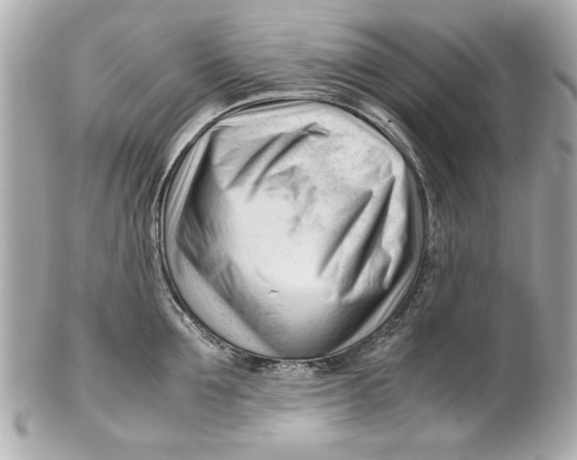 X0000101660907200807311432