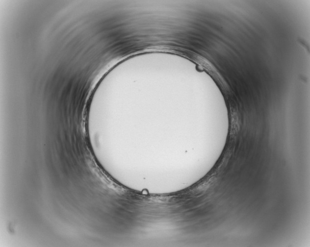 X0000101660908200807311432