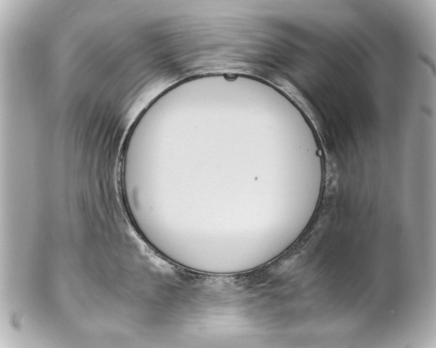 X0000101660909200807311432