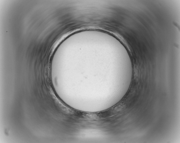 X0000101660911200807311432