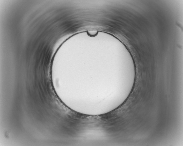 X0000101660912200807311432