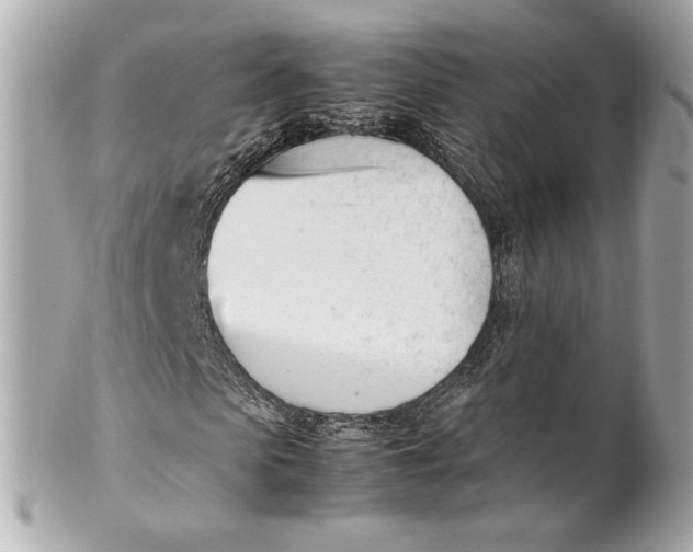 X0000101660913200807311431