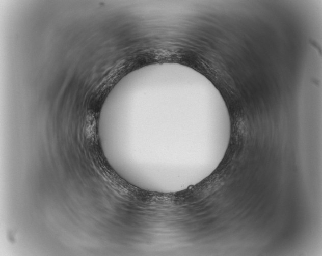 X0000101660914200807311431