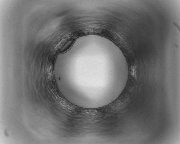 X0000101660915200807311431