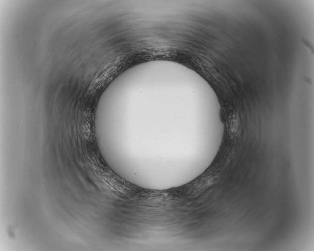 X0000101660916200807311431