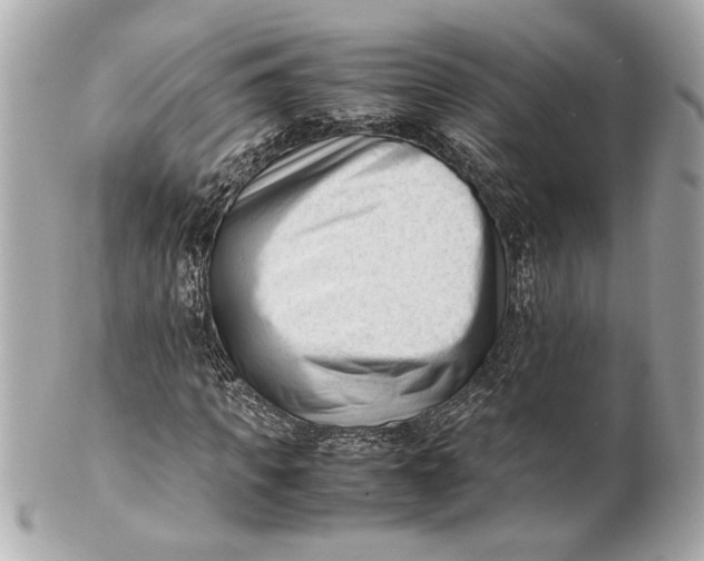 X0000101660917200807311431