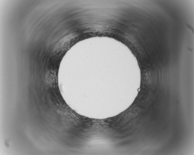 X0000101660918200807311431