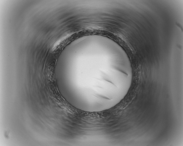 X0000101660919200807311431