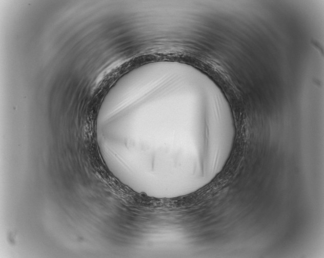 X0000101660920200807311431