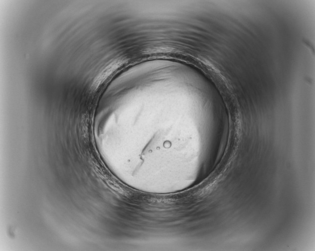 X0000101660921200807311431