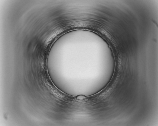 X0000101660922200807311431