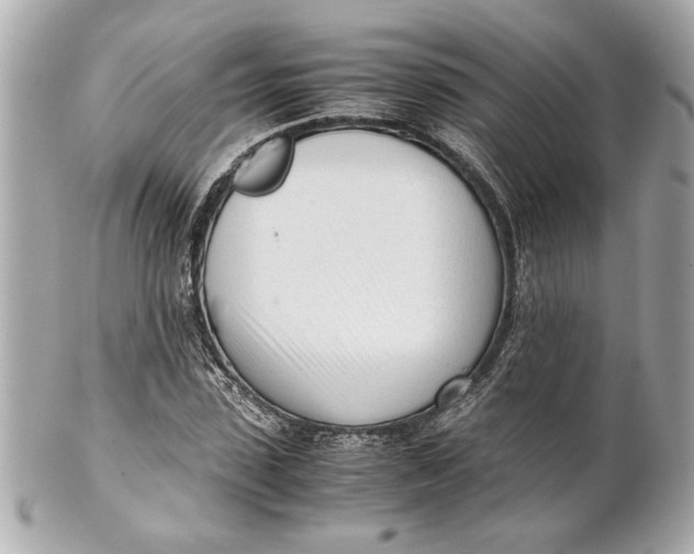 X0000101660923200807311431