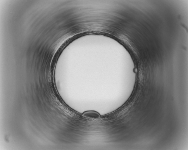 X0000101660924200807311432