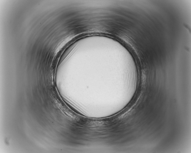 X0000101660925200807311432