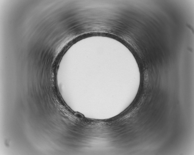 X0000101660926200807311432