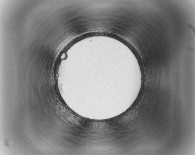 X0000101660927200807311432