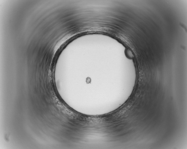 X0000101660928200807311432