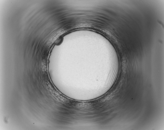 X0000101660929200807311432