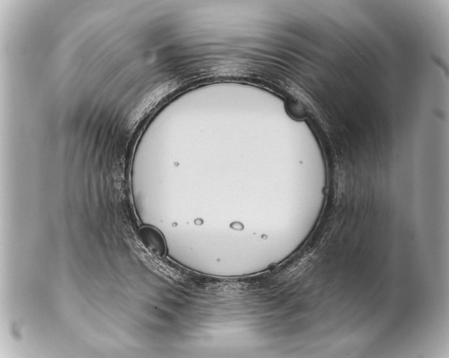 X0000101660930200807311432