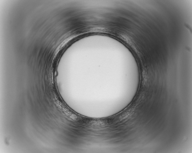 X0000101660931200807311432