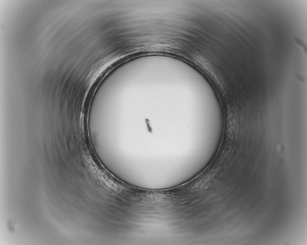 X0000101660932200807311432