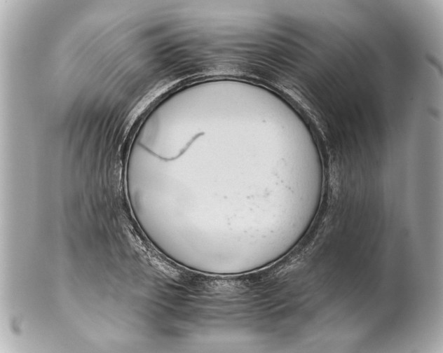 X0000101660933200807311432