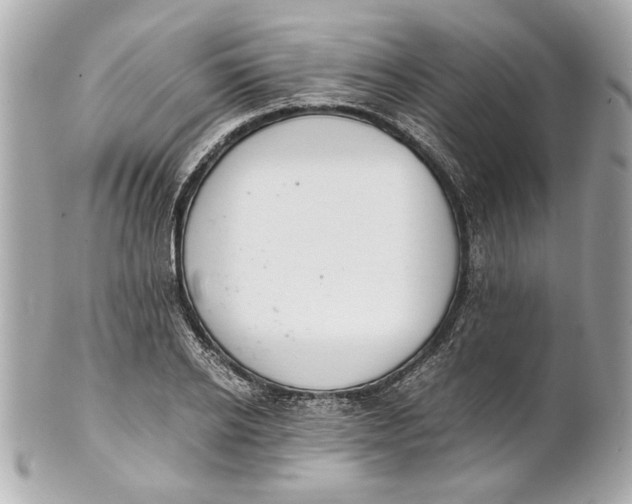 X0000101660934200807311432