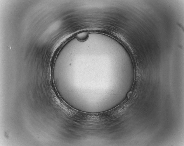 X0000101660935200807311432