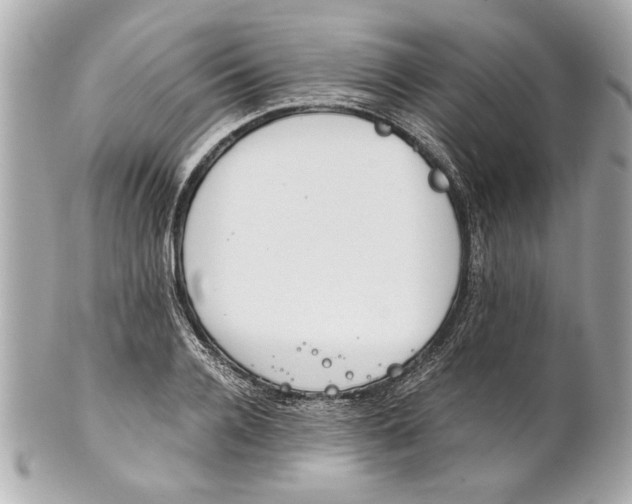 X0000101660936200807311432