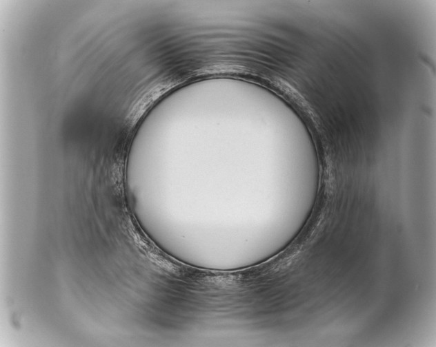 X0000101660937200807311432