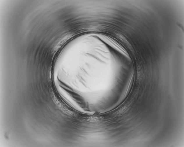 X0000101660938200807311432