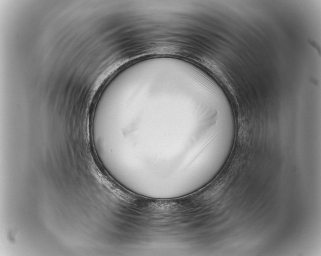 X0000101660939200807311432