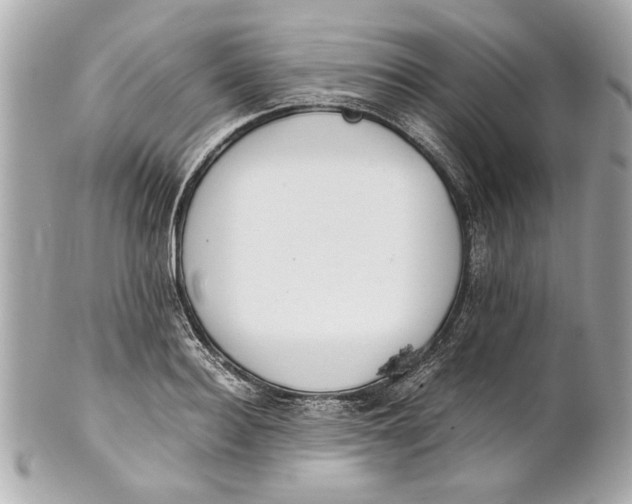 X0000101660940200807311432