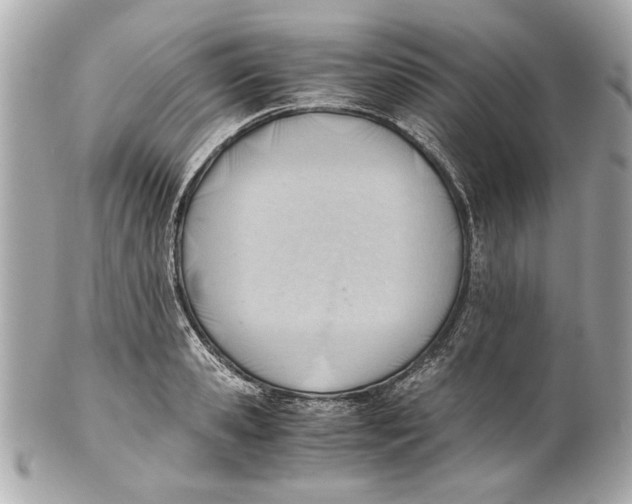 X0000101660941200807311432