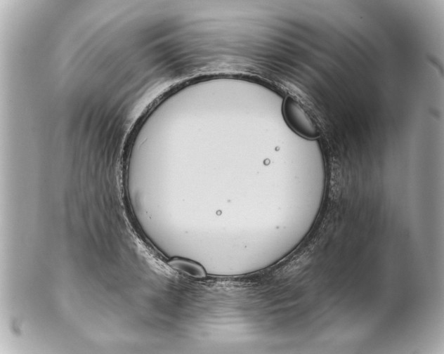 X0000101660942200807311432