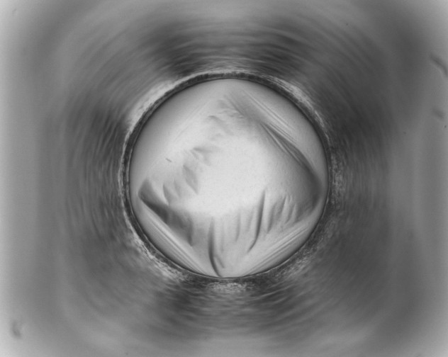 X0000101660943200807311432