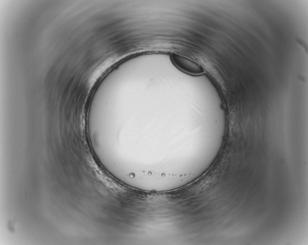 X0000101660944200807311432